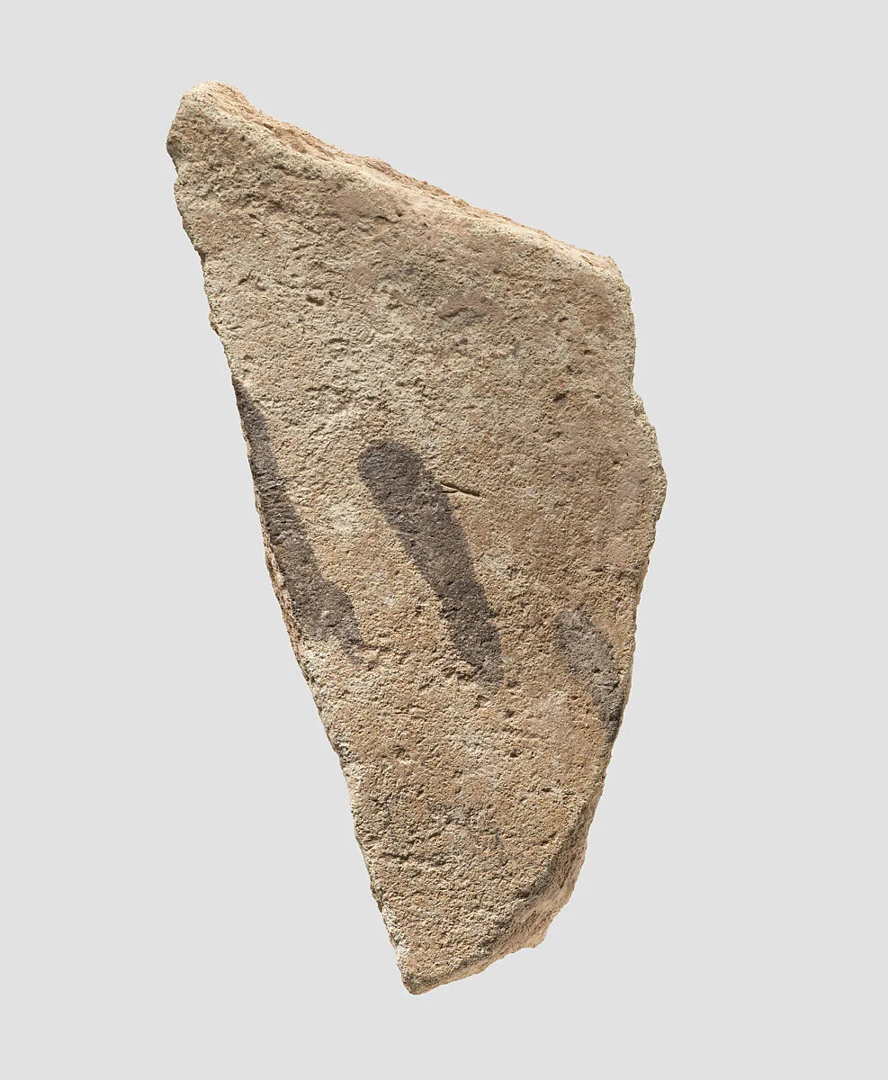 Sherd — Unknown