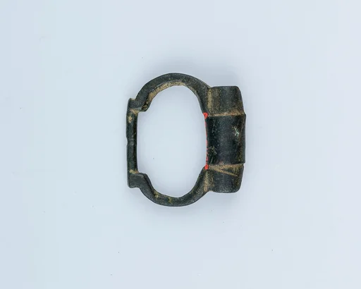 Buckle Loop