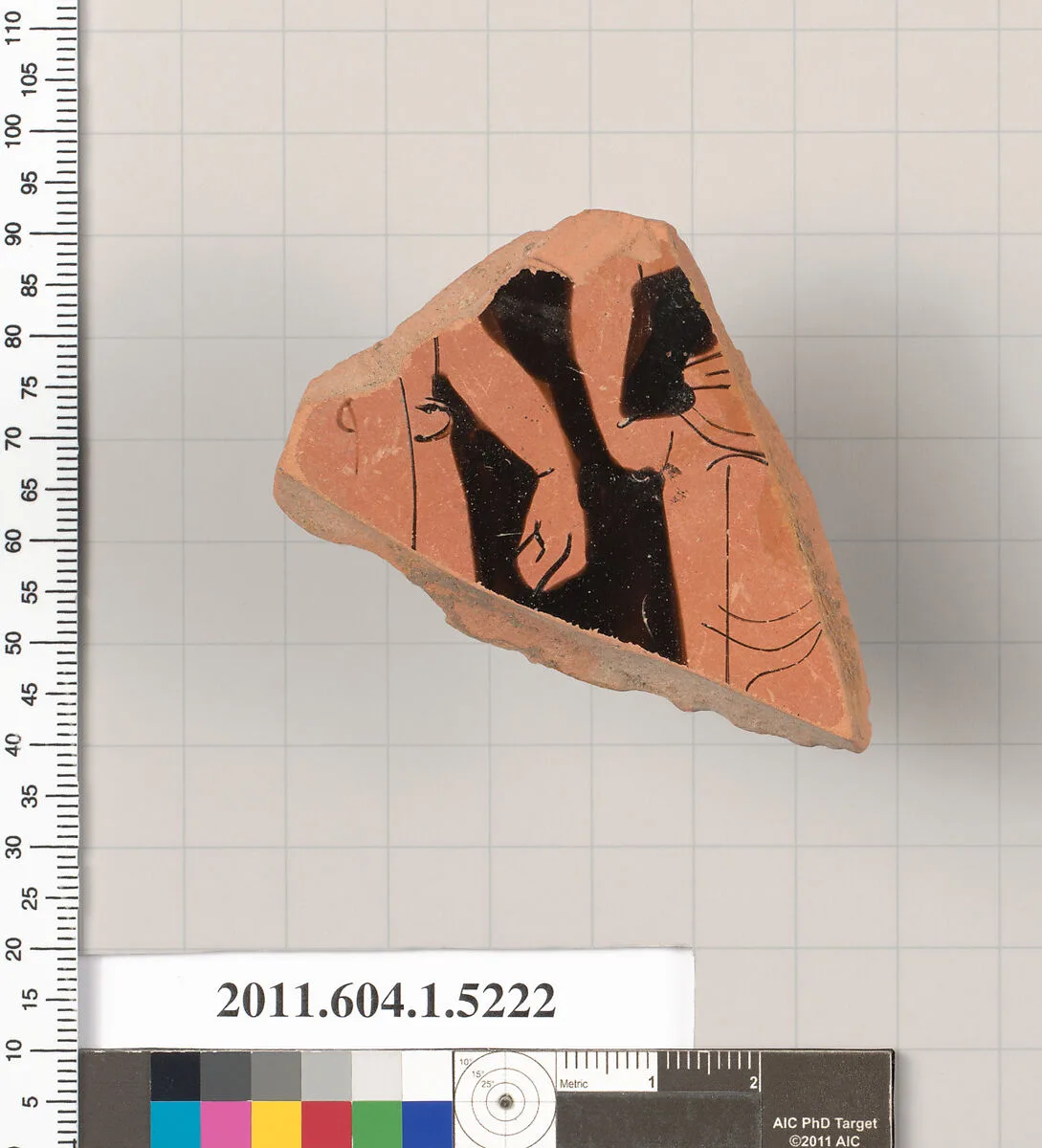 Terracotta fragment of a kylix (drinking cup) — Unknown