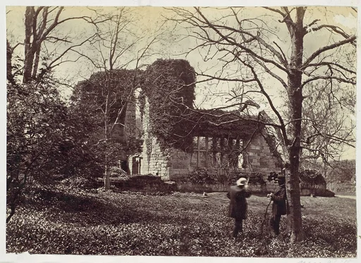 Near Wilty