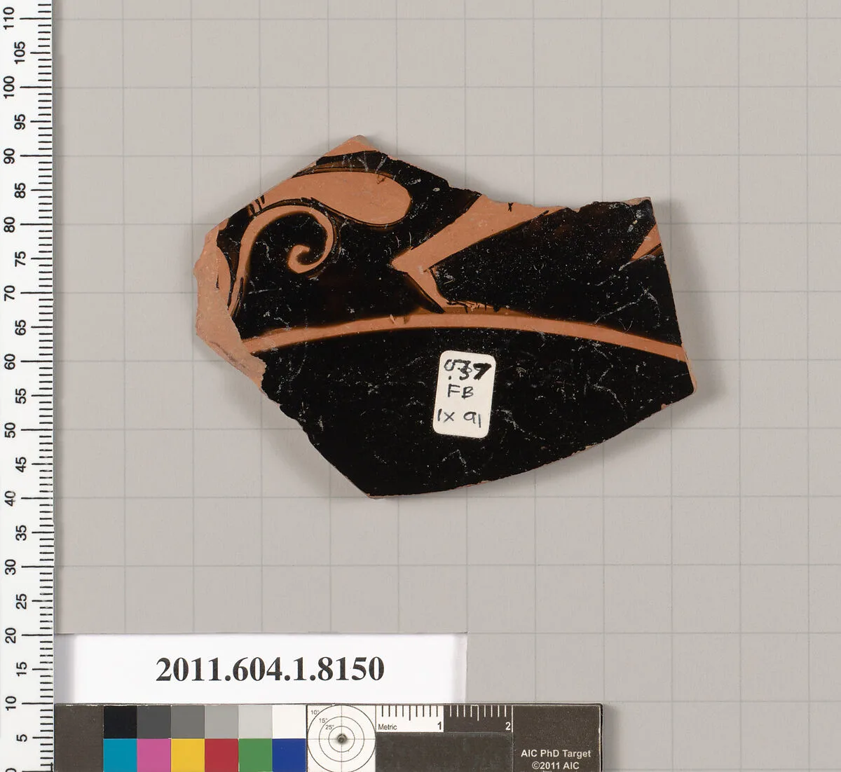 Terracotta fragment of a kylix (drinking cup) — Unknown