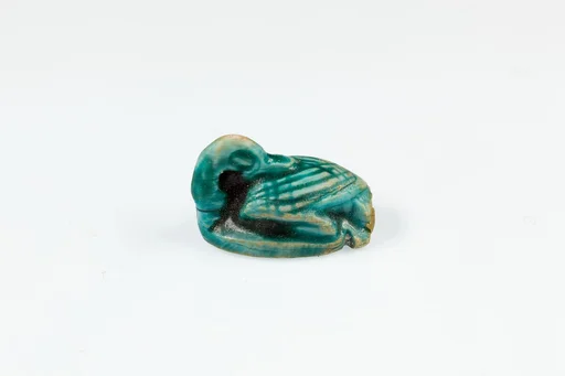Seal, duck