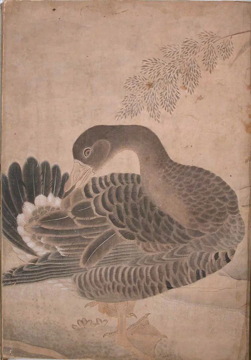 "Goose Preening its Tail," Folio from the Bellini Album — Unknown