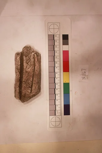 Stucco Fragment