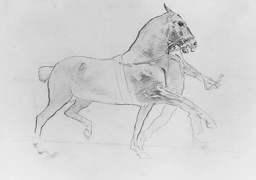 Man Leading Horse