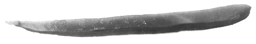 Blade