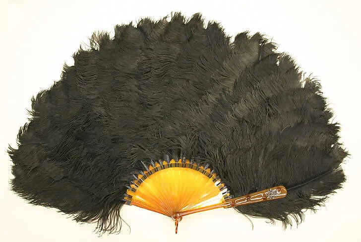 Fan — Unknown