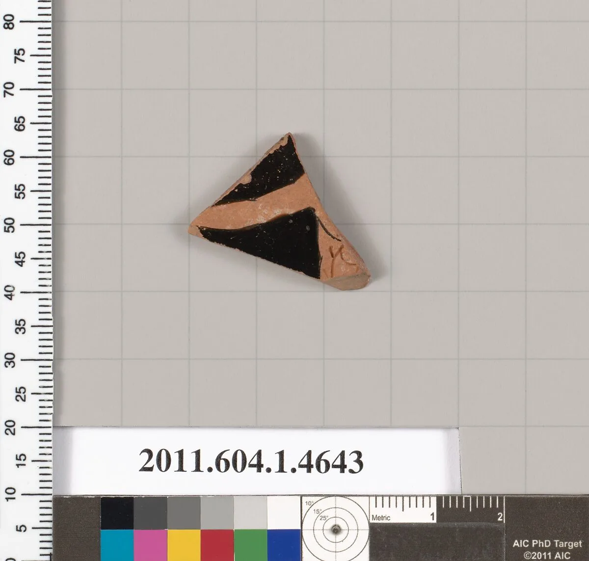 Terracotta fragment of a kylix (drinking cup) — Unknown