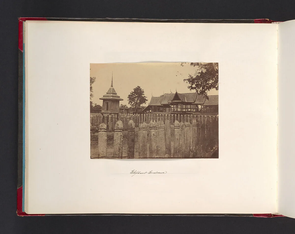 Elephant Enclosure — John Thomson
