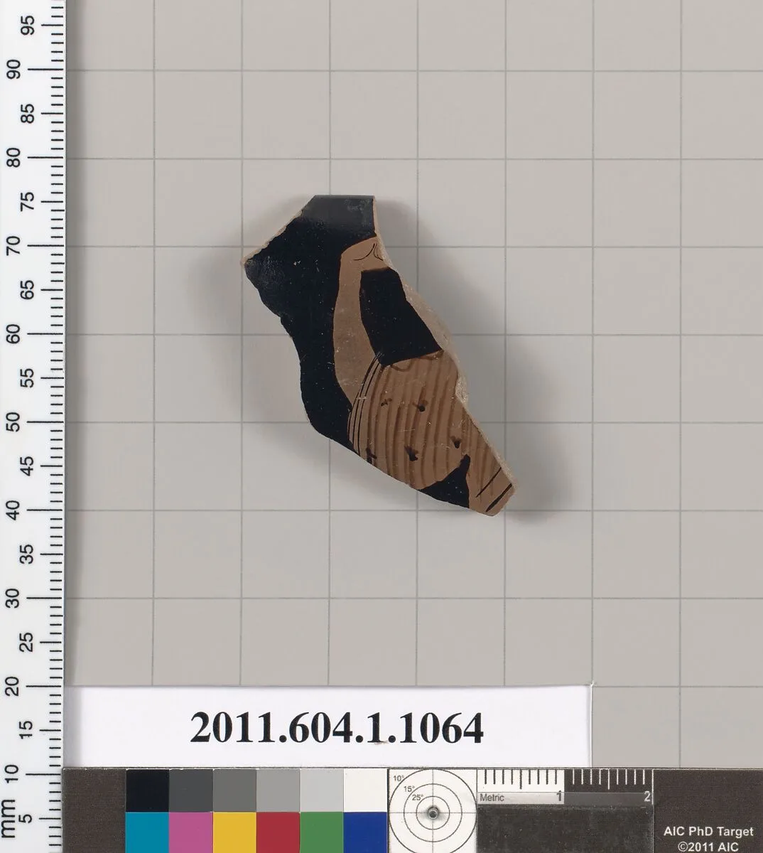 Terracotta rim fragment of a kylix (drinking cup) — Unknown