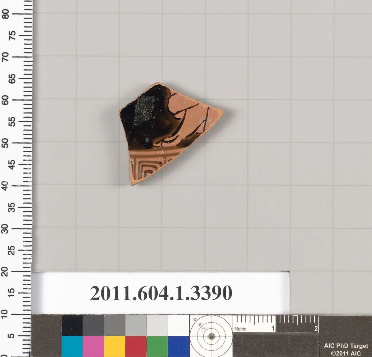 Terracotta fragment of a kylix (drinking cup) — Unknown