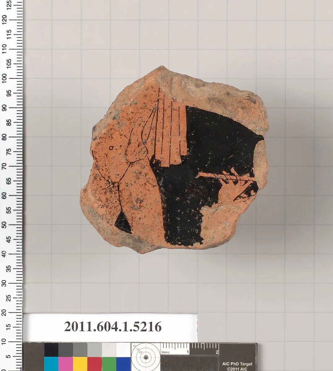 Terracotta fragment of a kylix (drinking cup) — Unknown