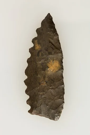 Bifacial Sickle Insert