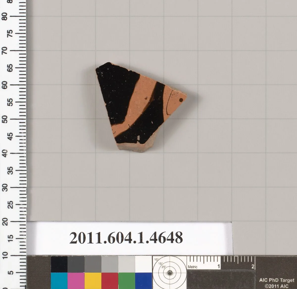 Terracotta fragment of a kylix (drinking cup) — Unknown