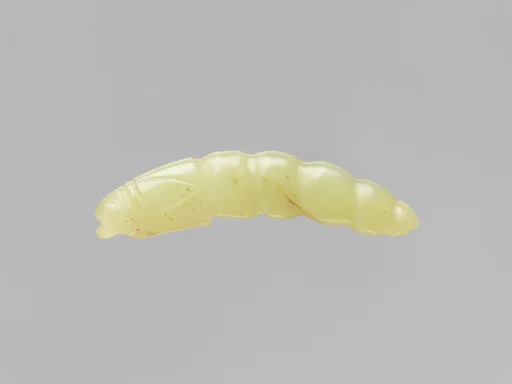 西周 玉蚕|Pendant in the shape of a silk worm