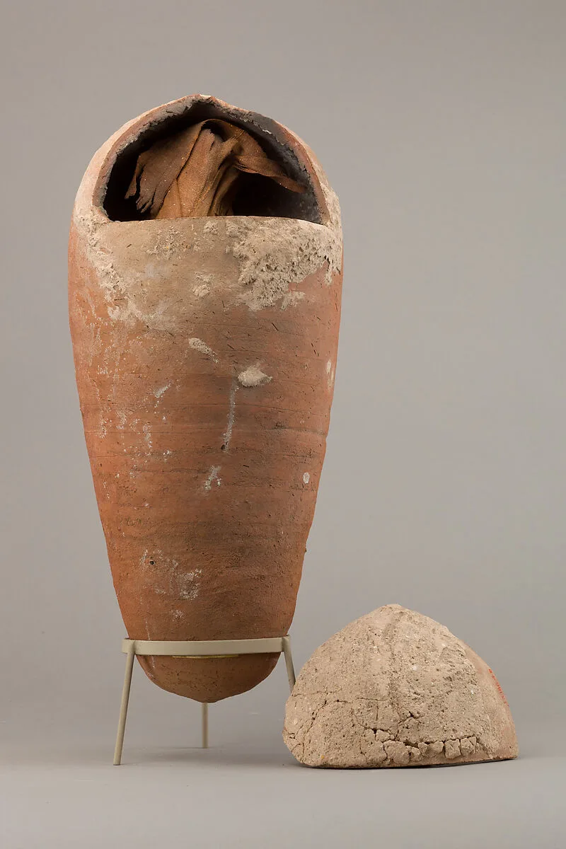 Sacred animal mummy of an ibis inside a jar — Unknown