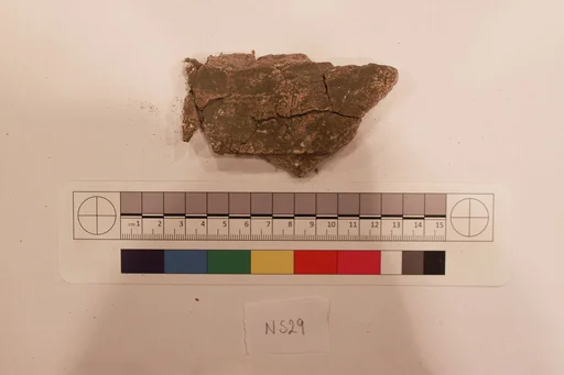 Stucco Fragment