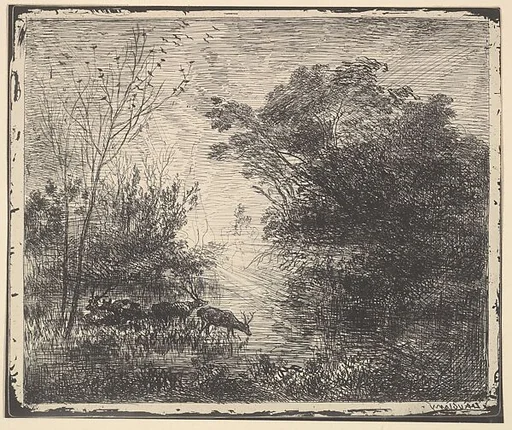 Stags