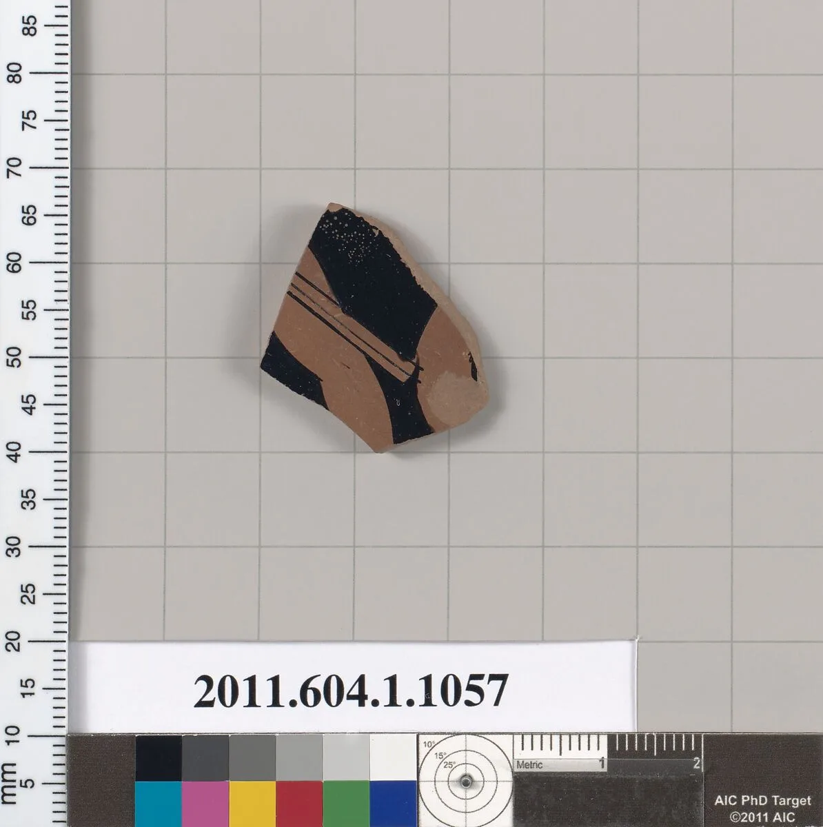 Terracotta fragment of a kylix (drinking cup) — Unknown