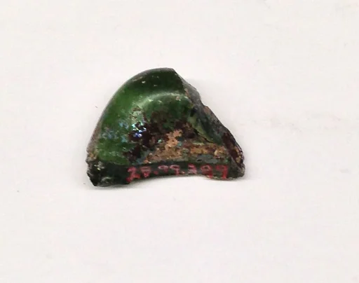 Fragment