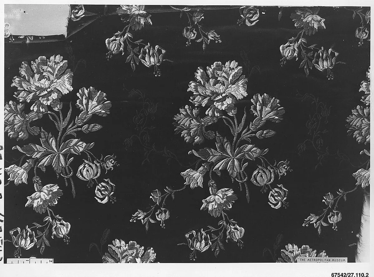 Fragment — Unknown