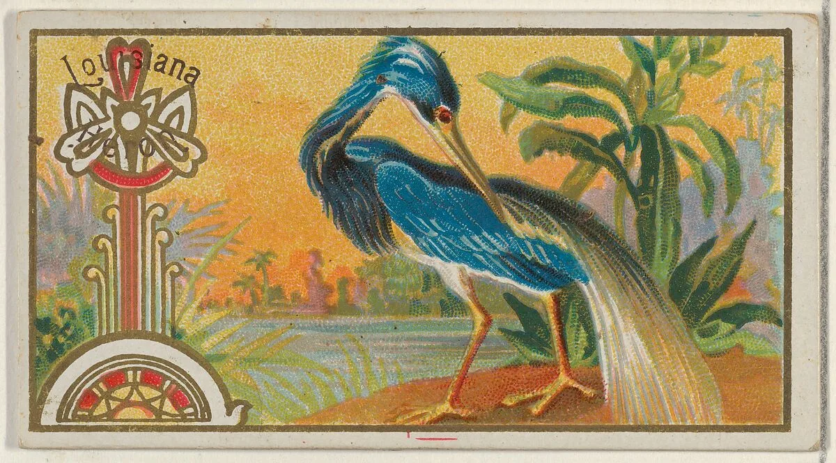 Louisiana Heron, from the Game Birds series (N13) for Allen & Ginter Cigarettes Brands — Allen & Ginter|George S. Harris & Sons