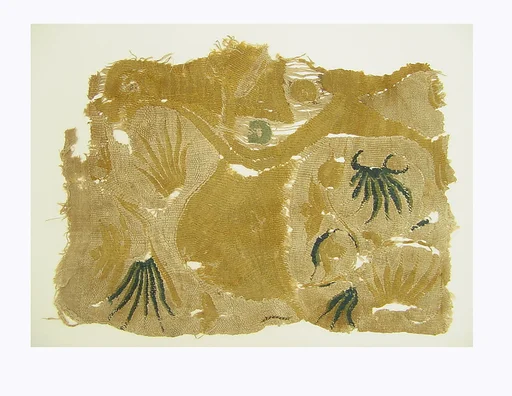 Textile Fragment