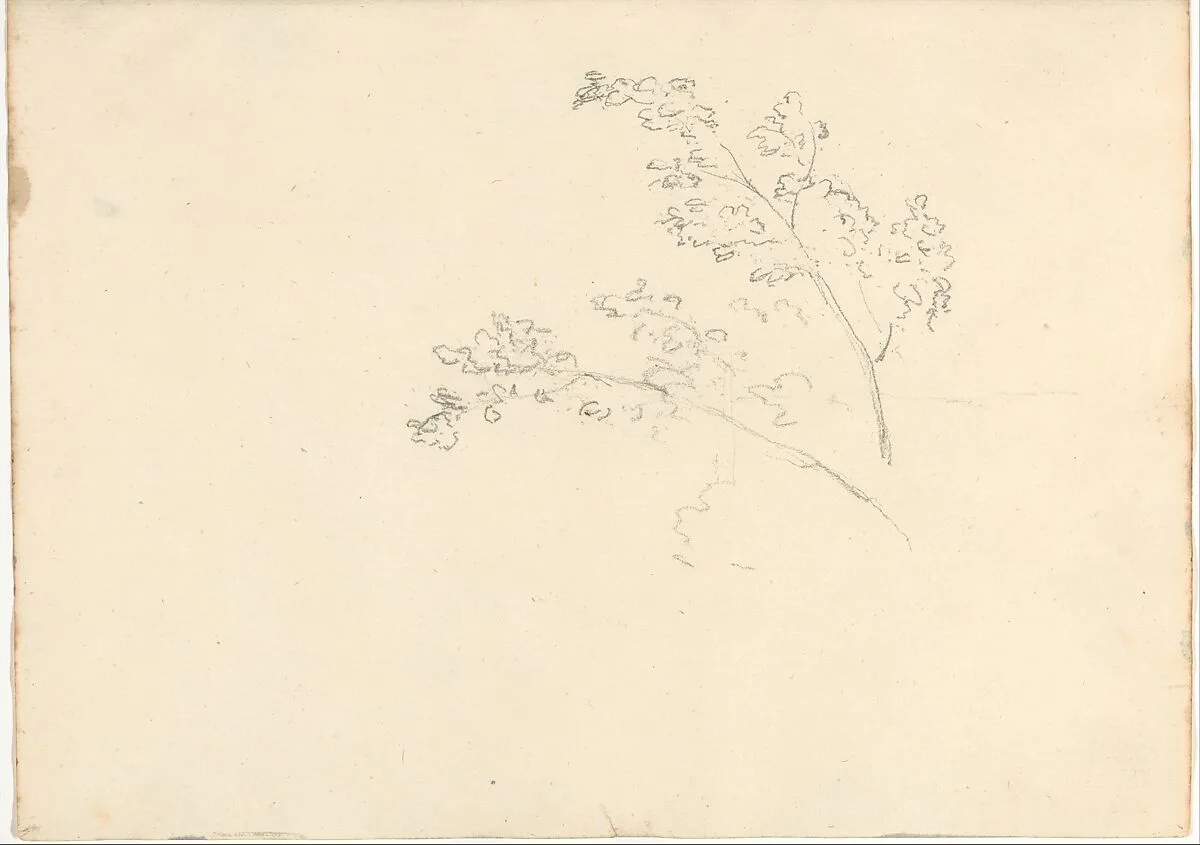 Tree Branches (Smaller Italian Sketchbook, leaf 30 recto) — Joseph Wright (Wright of Derby)