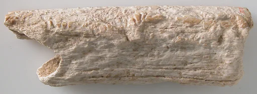 Fragment