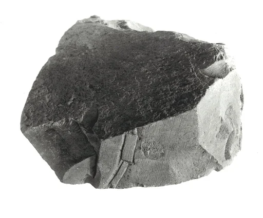 Raised relief fragment