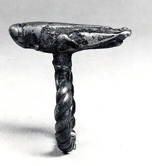 Ring: Insect — Unknown