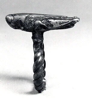 Ring: Insect