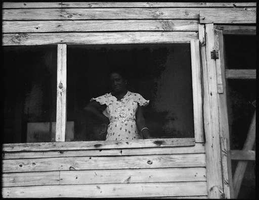 [Woman in Window, Florida]