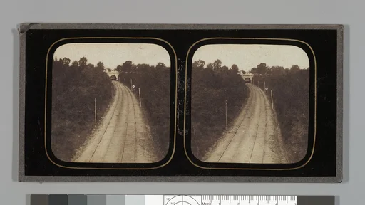 [Stereographic View of Paris-Lyon Railroad Tracks with "Ghost" Train Visible When Viewed by Transmitted Light]