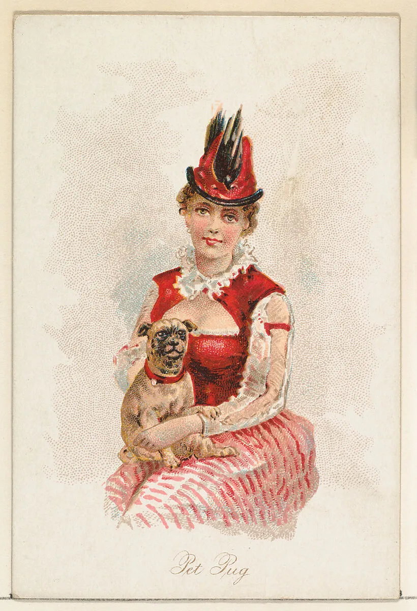 Pet Pug, from the Household Pets series (N194) issued by Wm. S. Kimball & Co. — American Tobacco Company|Julius Bien & Co.|William S. Kimball & Company
