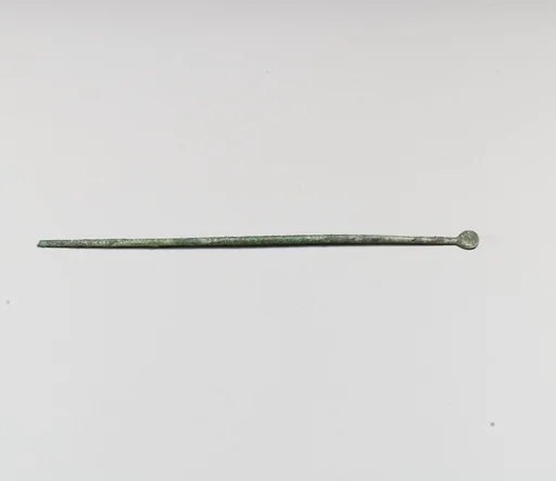 Spoon or ligula
