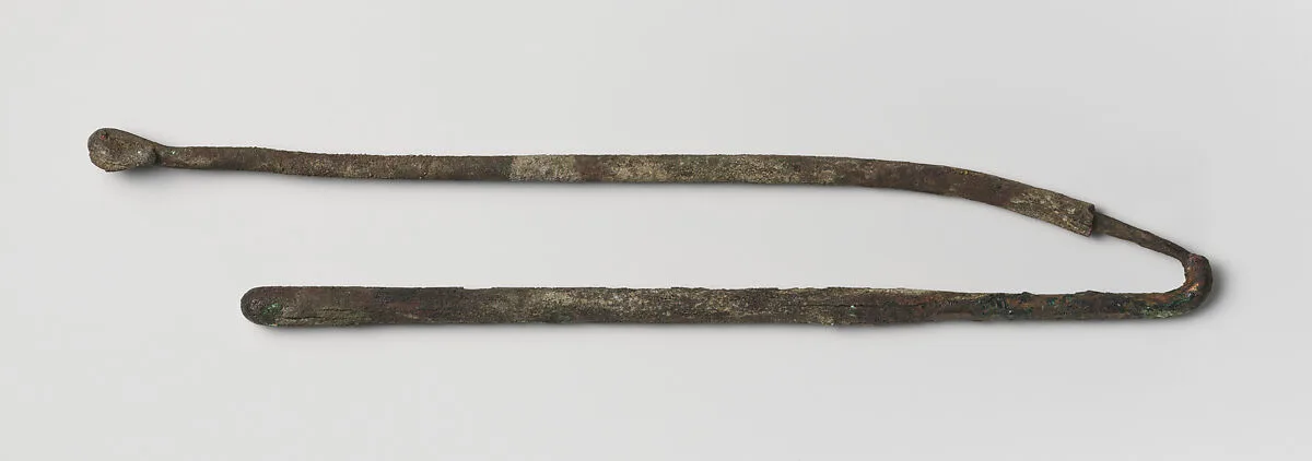 Bent piece of wire/Needle — Unknown