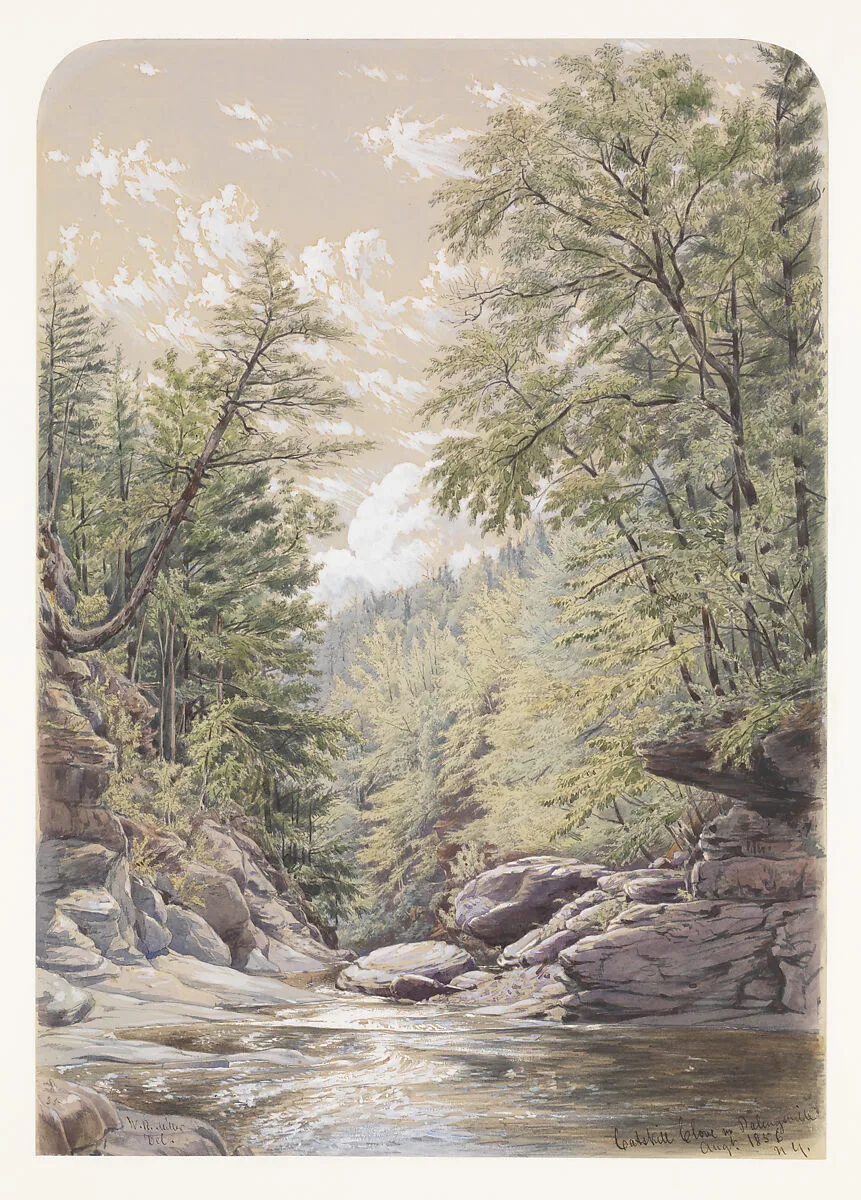 Catskill Clove in Palingsville — William Rickarby Miller
