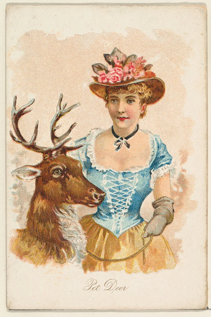 Pet Deer, from the Household Pets series (N194) issued by Wm. S. Kimball & Co. — Julius Bien & Co.|American Tobacco Company|William S. Kimball & Company