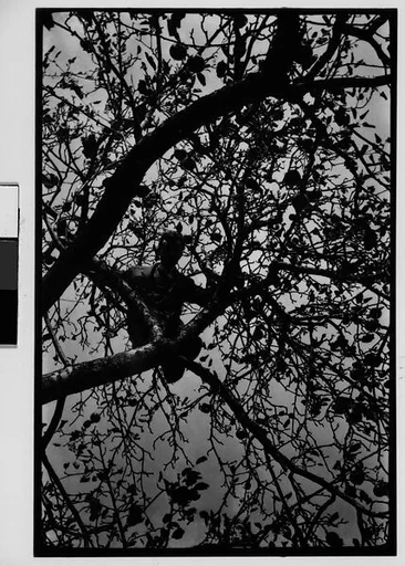 [Hanns Skolle in Apple Tree]