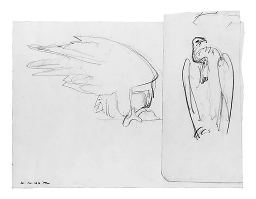 Vulture