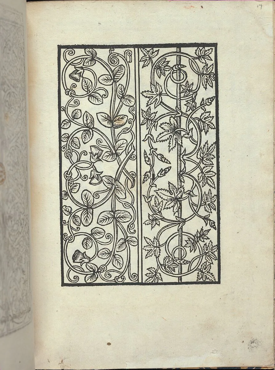 Libro quarto. De rechami per elquale se impara in diuersi modi lordine e il modo de recamare...Opera noua, page 17 (recto) — Alessandro Paganino