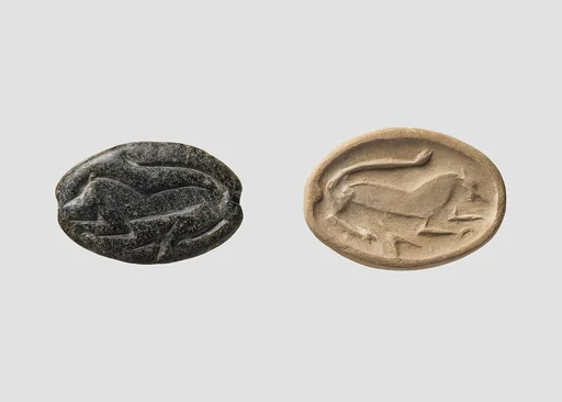 Carinated amygdaloid seal