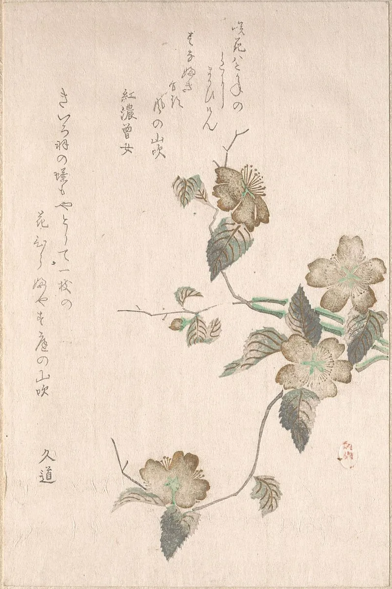 Untitled — Unidentified artist