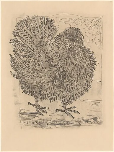 Turkey, from ¦Picasso: Original Etchings for the Texts of Buffon¦