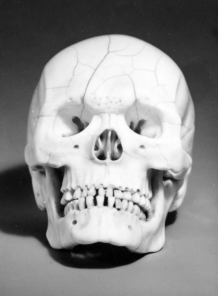 Skull — Unknown