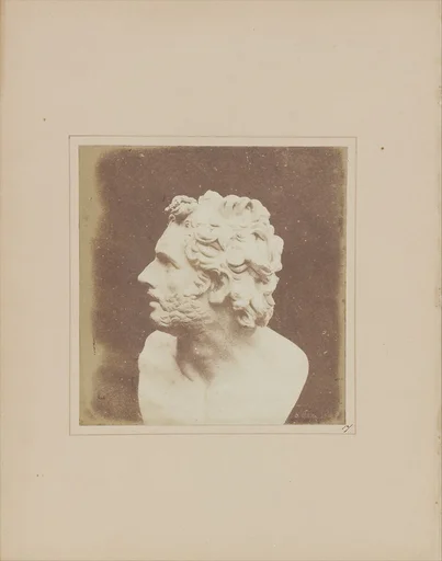Bust of Patroclus