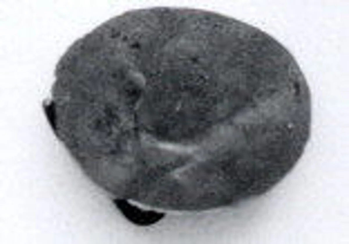Disk ornament — Unknown