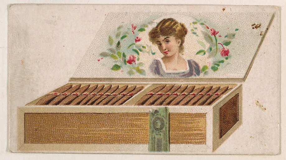 Cigar box, from the Novelties series (N228, Type 5) issued by Kinney Bros. — Kinney Brothers Tobacco Company