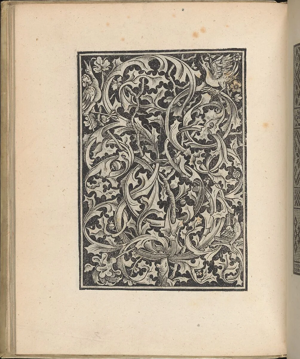 Trionfo Di Virtu. Libro Novo..., page 27 (recto) — Matteo Pagano